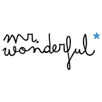 MR WONDERFUL